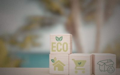 Zöld e-kereskedelem: Hogyan fordítsuk a fenntarthatóságot profitra?