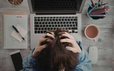 Csökkenő organikus forgalom? Így hódítsd meg az AI korszak keresőit!